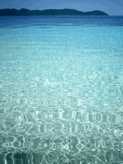 mer transparente.gif